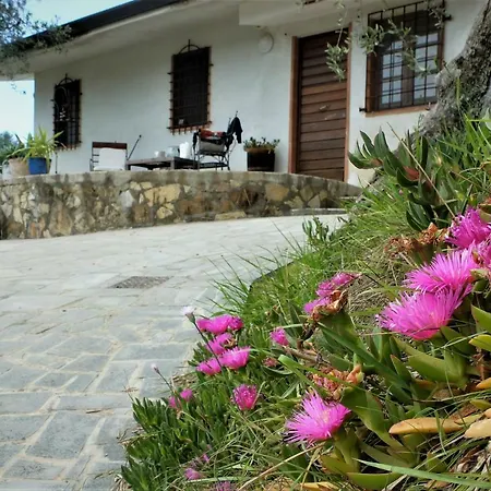 Holiday home La Smarrita