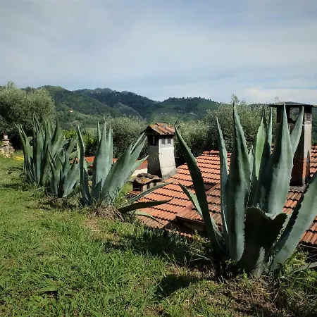La Smarrita
