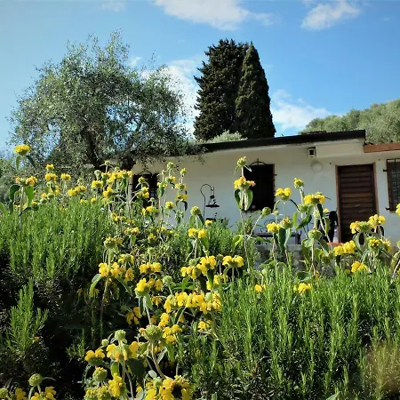 La Smarrita *