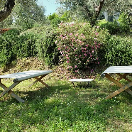 Holiday home La Smarrita Stiava