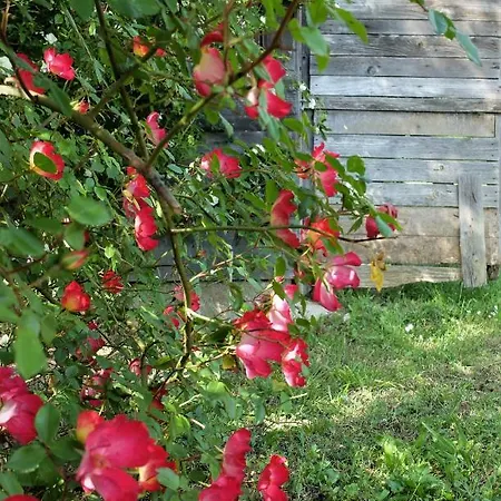 La Smarrita Holiday home Stiava